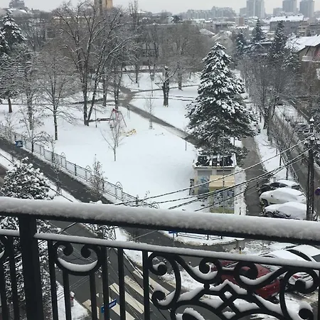 Lion Nest * Belgrado